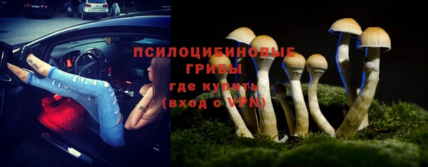 бошки Алзамай
