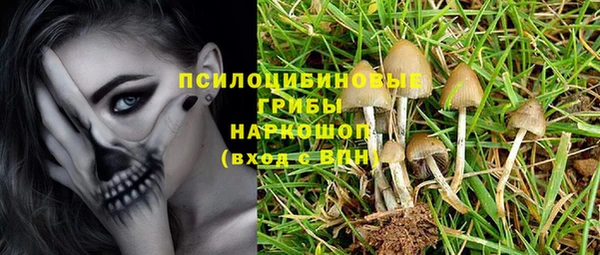 не бодяженный Абаза
