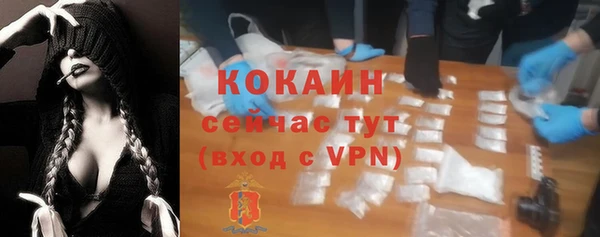 шишки Абинск