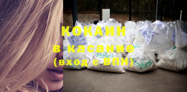 шишки Абинск