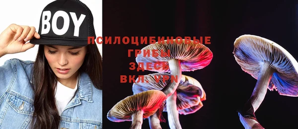 не бодяженный Абаза