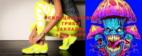 шишки Абинск